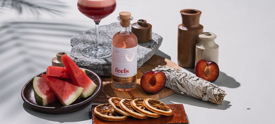 feels X Cocktail Porter Watermelon Cosmo for Mother's Day