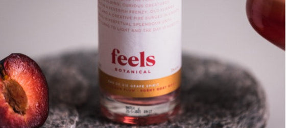 Close up photo of feels X Cocktail Porter Watermelon Cosmo
